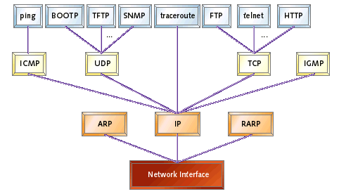 TCP/IP Protocols at Stack Levels